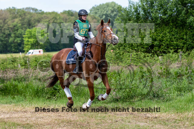 Westerstede Horse Trials (10.-13.06.2021)