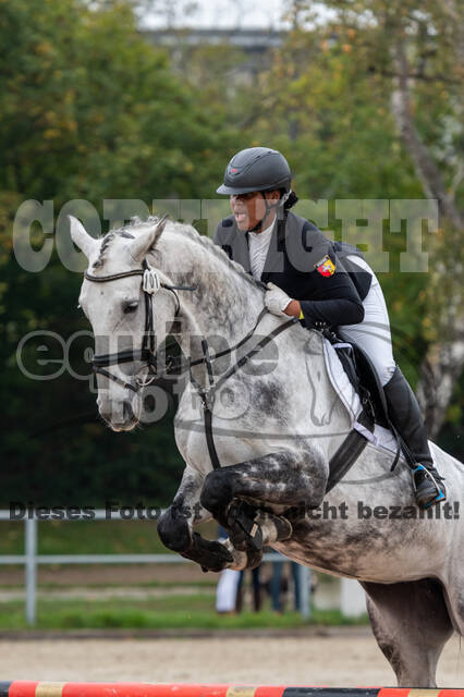 Goldene Schärpe 2020 - Pferde