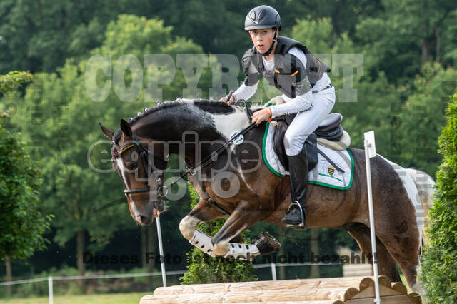 Goldene Schärpe 2021 - Ponys