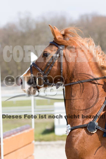 Eventing Langenfeld