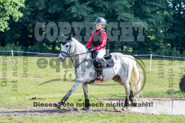 Goldene Schärpe 2021 - Ponys