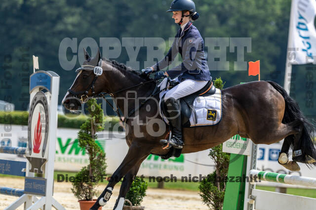 Goldene Schärpe 2021 - Ponys