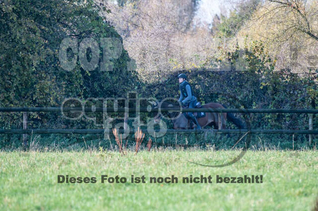 Vielseitigkeitslehrgang mit Jürg Kurbel (9.+10.11.2019)