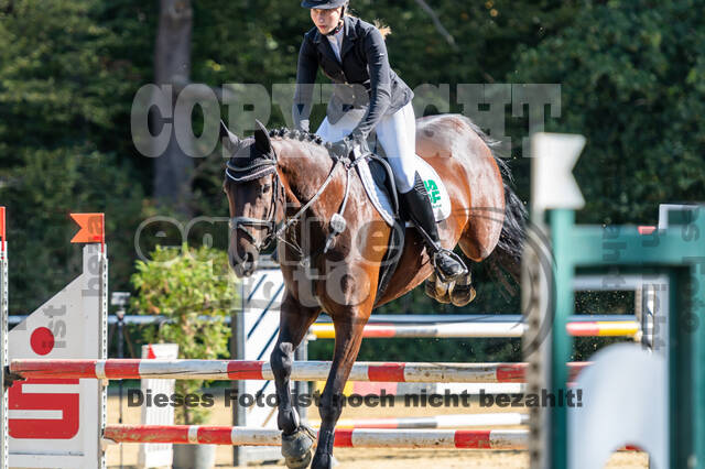 RFV Dinslaken-Hiesfeld (Herbstturnier)