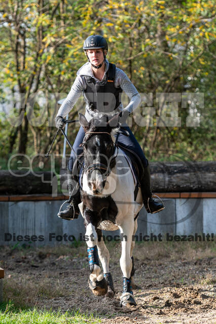 IGV Lehrgang der Sieger der Cups mit Frank Ostholt