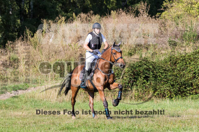 Vielseitigkeitsturnier RSV St. Hubertus Wesel Obrighoven