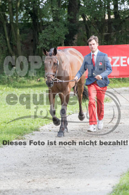 European Championship Eventing 2017