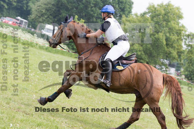 Vielseitigkeitsturnier ZRFV von Lützow Hamminkeln