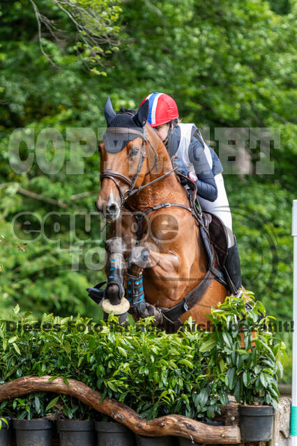 Westerstede Horse Trials 2021