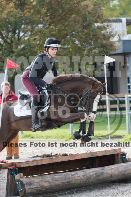 IGV Lehrgang der Sieger der Cups mit Frank Ostholt