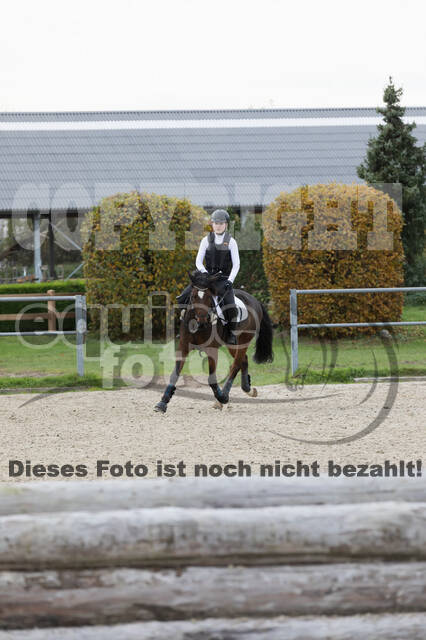 IGV Lehrgang der Sieger der Cups mit Frank Ostholt