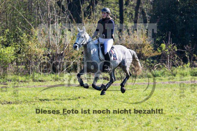 Vielseitigkeitsturnier RV Lippe-Bruch-Gahlen