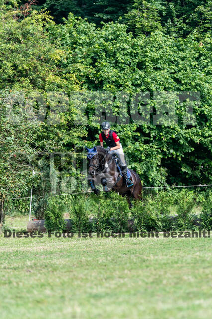 Goldene Schärpe 2021 - Ponys