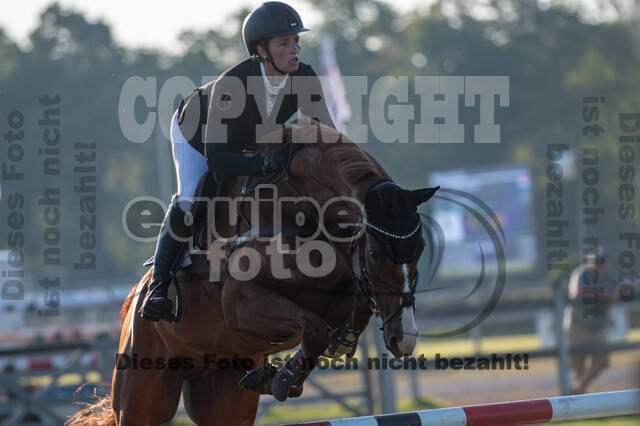 De Peelbergen (August 2020)