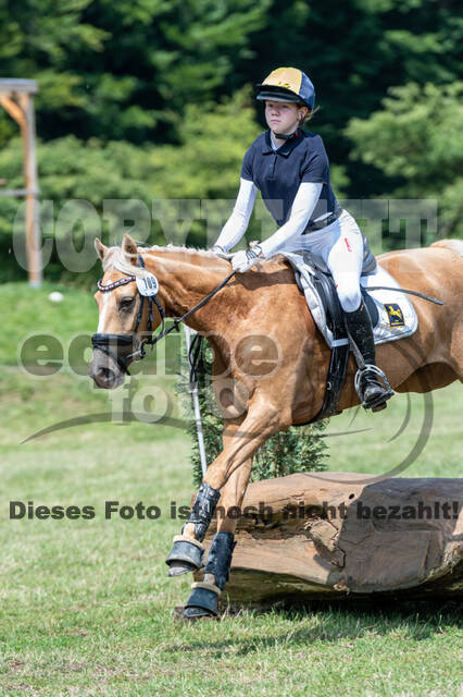 Goldene Schärpe 2021 - Ponys