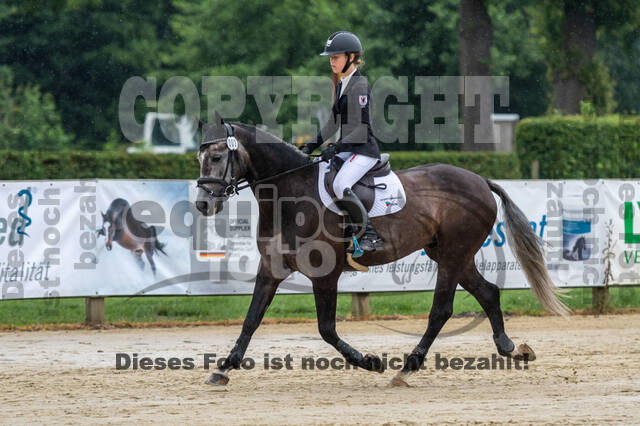 Goldene Schärpe 2021 - Ponys