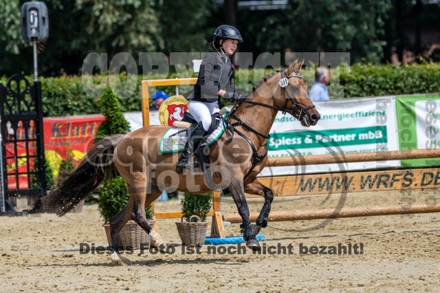 Goldene Schärpe 2021 - Ponys