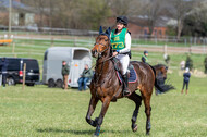 Vielseitigkeitsturnier RV Seydlitz Kamp (03.04.2022)