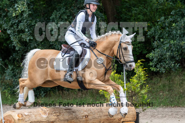 Late-Entry-Vielseitigkeit Langenfeld (06.+07.07.2020)