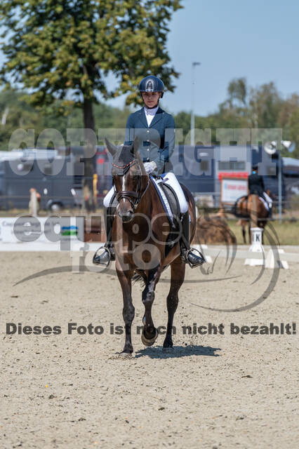 Kronenberg - De Peelbergen (August 2020)