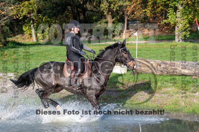 IGV Lehrgang der Sieger der Cups mit Frank Ostholt