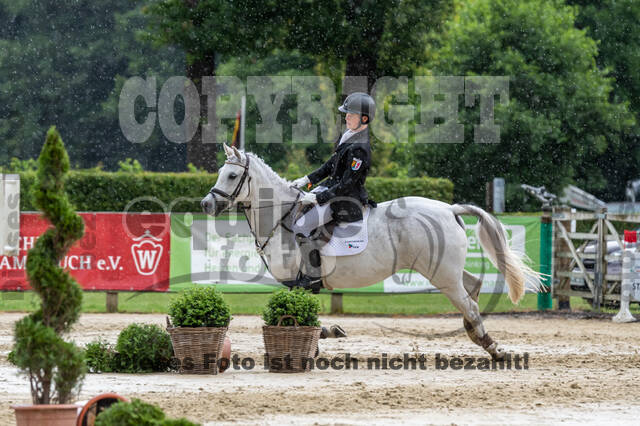 Goldene Schärpe 2021 - Ponys