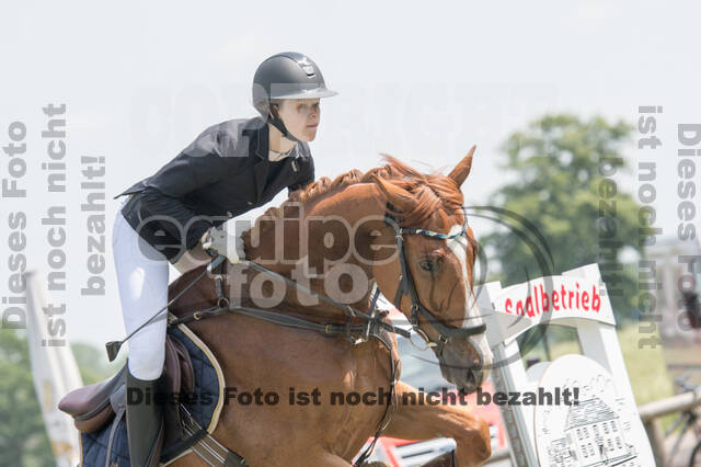 Vielseitigkeitsturnier ZRuFV von Lützow Hamminkeln