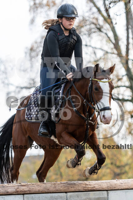 IGV Lehrgang der Sieger der Cups mit Frank Ostholt