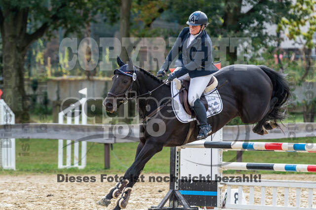 Vielseitigkeit RSV Wesel Obrighoven (26.+27.09.2020)
