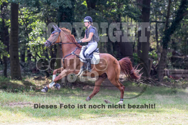 Late-Entry Vielseitigkeit Hamminkeln/Wesel (01.+02.08.2020)