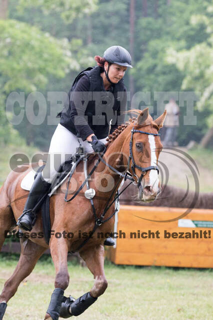 Vielseitigkeitsturnier ZRFV von Lützow Hamminkeln