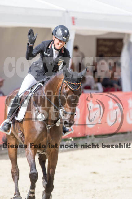 FEI European Championship Eventing 2017