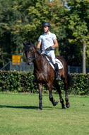 Kronenberg - De Peelbergen (August 2020)