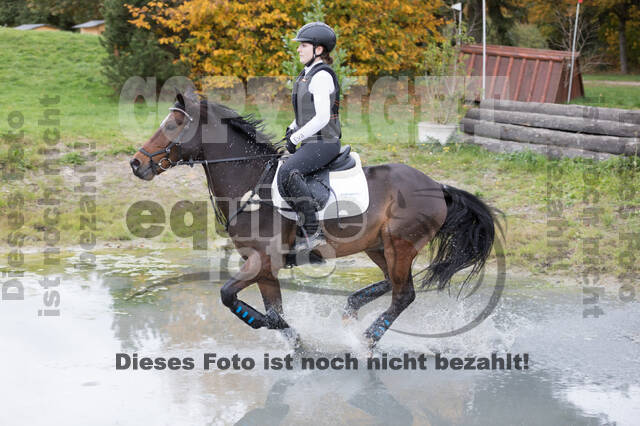 IGV Lehrgang der Sieger der Cups mit Frank Ostholt