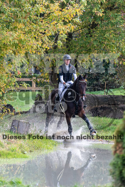 Goldene Schärpe 2020 - Pferde