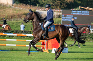 De Peelbergen (August 2020)