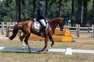 Kronenberg - De Peelbergen (August 2020)