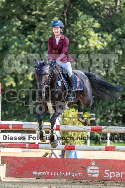 RFV Dinslaken-Hiesfeld (Herbstturnier)