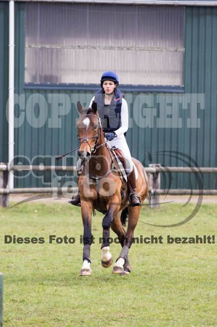 Jungpferdetag Hamminkeln