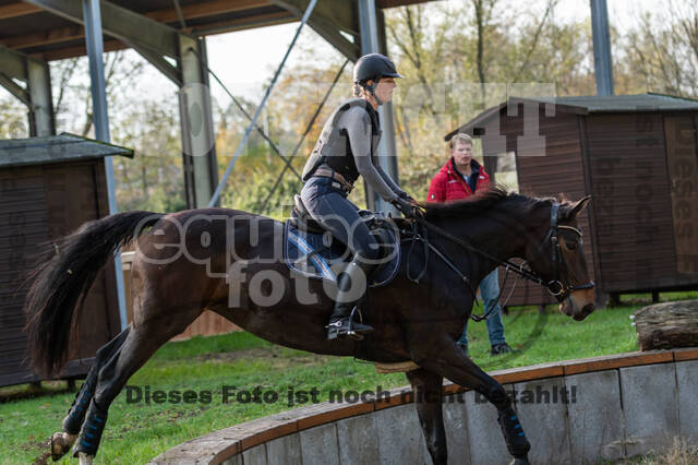 IGV Lehrgang der Sieger der Cups mit Frank Ostholt