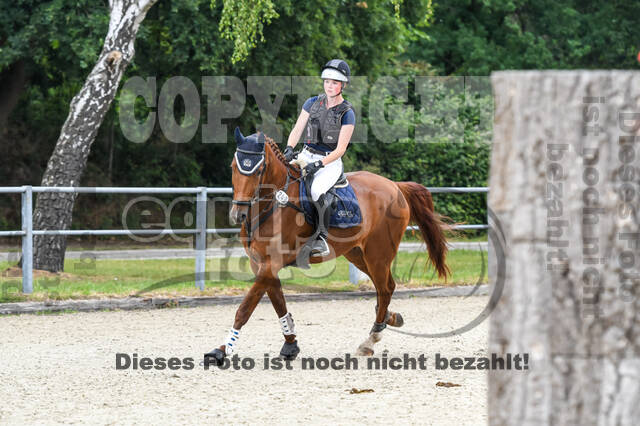 Late-Entry-Vielseitigkeit Langenfeld (11.+13./14.06.2020)