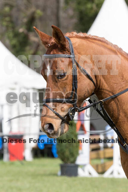 Frühjahrsvielseitigkeit RV Seydlitz Kamp