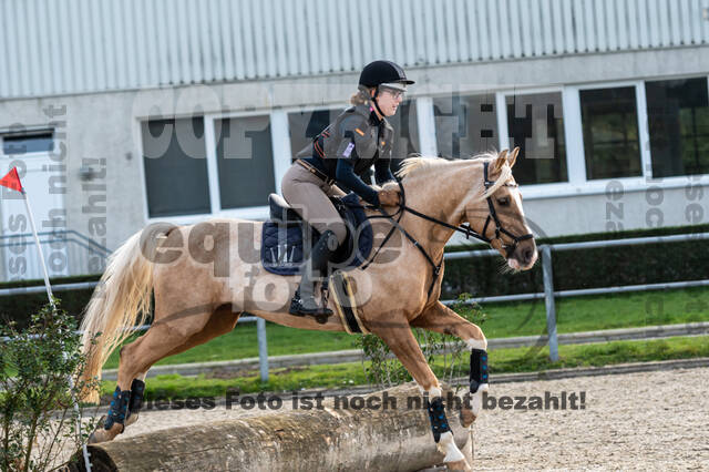 IGV Lehrgang der Sieger der Cups mit Frank Ostholt
