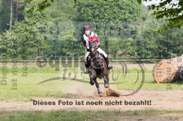 Vielseitigkeitsturnier ZRFV von Lützow Hamminkeln
