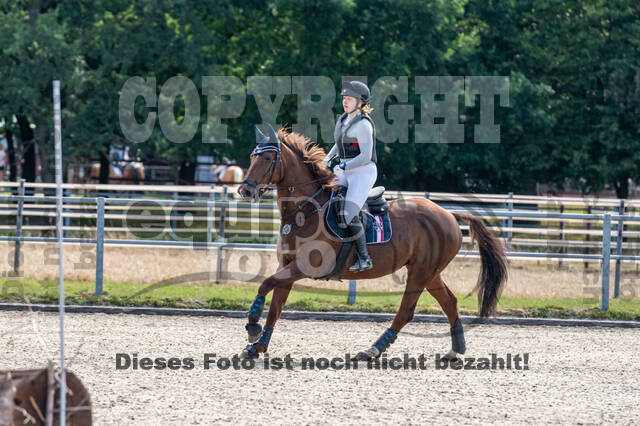 Late-Entry-Vielseitigkeit Langenfeld (11.+13./14.06.2020)