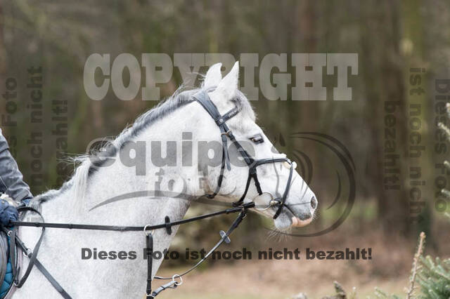 Geländetraining RSV St. Hubertus Wesel Obrighoven