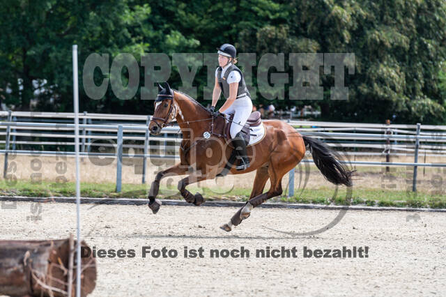 Late-Entry-Vielseitigkeit Langenfeld (11.+13./14.06.2020)