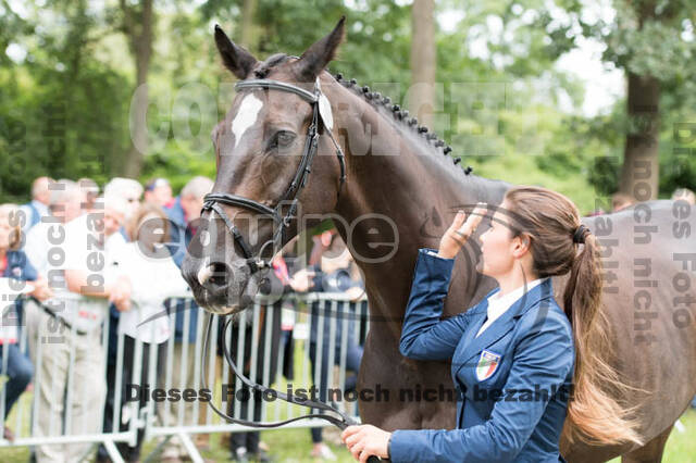 FEI European Championship