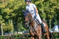 Kronenberg - De Peelbergen (August 2020)