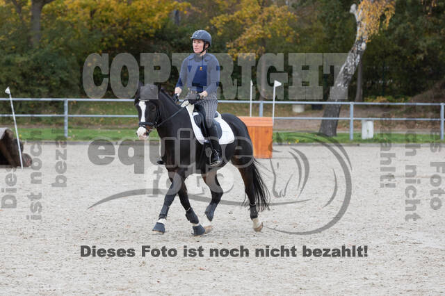 IGV Lehrgang der Sieger der Cups mit Frank Ostholt